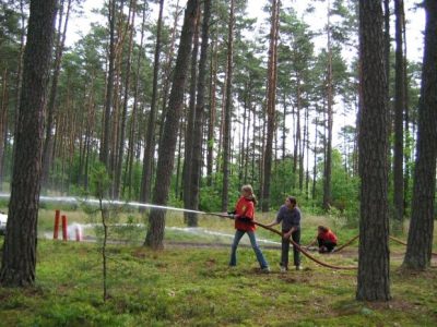 Skrzynia 2004