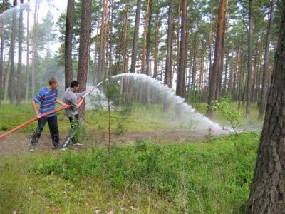 Skrzynia 2004