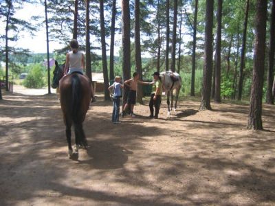 Skrzynia 2005