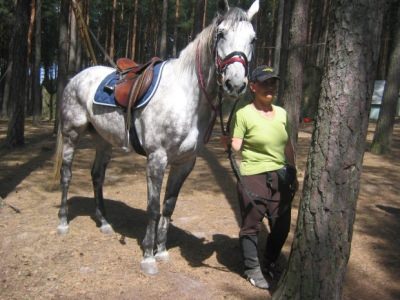 Skrzynia 2005