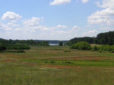 Skrzynia 2005
