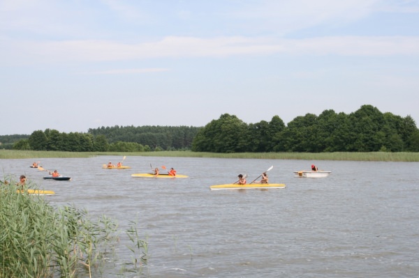 Skrzynia 2009