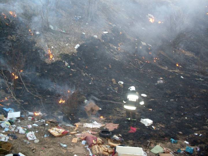 Trawy 2011