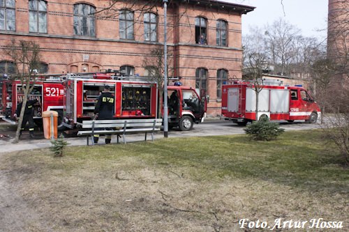 Kocborowo 2011